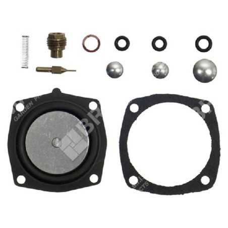 Kit de réparation pour carburateurs ASPERA - TECUMSEH - TECNAMOTOR 631893 - 006654 | NewgardenParts.com