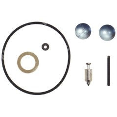 Reparatursatz für WALBRO-Vergaser - 006649 | NewgardenParts.com