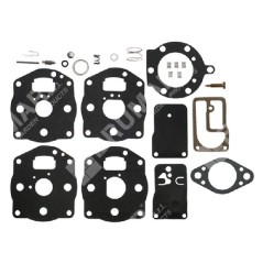 Kit Riparazione per carburatori BRIGGS & STRATTON 491539 - 394502 COMPATIBILE - 006646 | NewgardenParts.com