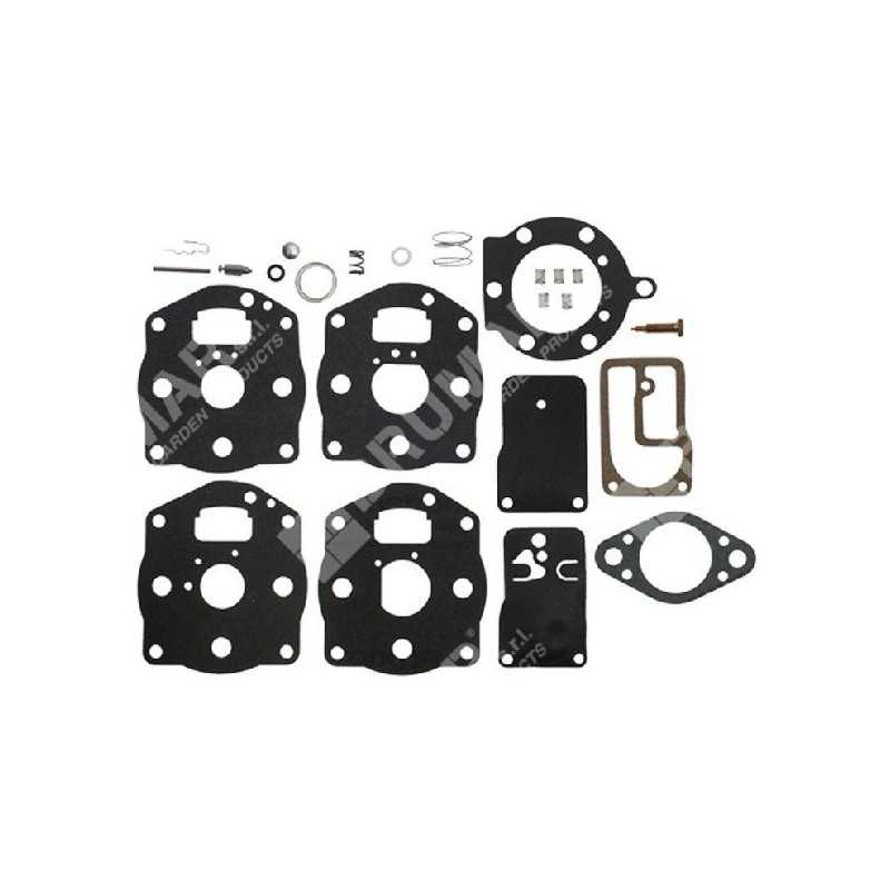Kit Riparazione per carburatori BRIGGS & STRATTON 491539 - 394502 COMPATIBILE - 006646