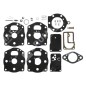 Kit Riparazione per carburatori BRIGGS & STRATTON 491539 - 394502 COMPATIBILE - 006646