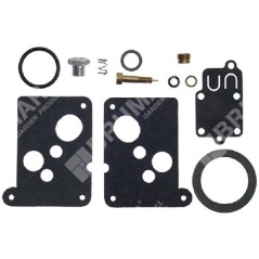 Kit Riparazione per carburatori BRIGGS & STRATTON 494625 COMPATIBILE - 006644 | NewgardenParts.com