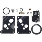 Kit Riparazione per carburatori BRIGGS & STRATTON 494625 COMPATIBILE - 006644