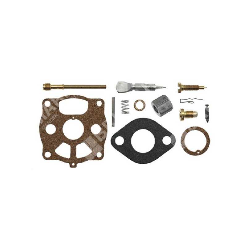 Kit Riparazione per carburatori BRIGGS & STRATTON 291691 COMPATIBILE - 006643