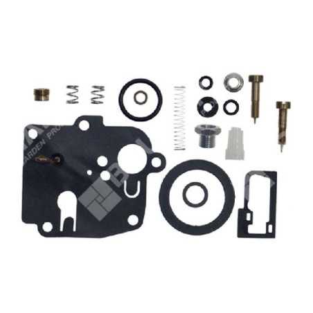 Reparatursatz für BRIGGS & STRATTON Vergaser 494623 - 006642 | NewgardenParts.com