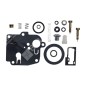 Kit Riparazione per carburatori BRIGGS & STRATTON 494623 COMPATIBILE - 006642 Kit Riparazione per carburatori BRIGGS & STRATTON 494623 COMPATIBILE - 006642