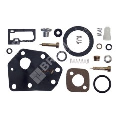 Kit Riparazione per carburatori BRIGGS & STRATTON 494622 COMPATIBILE - 006641 | NewgardenParts.com