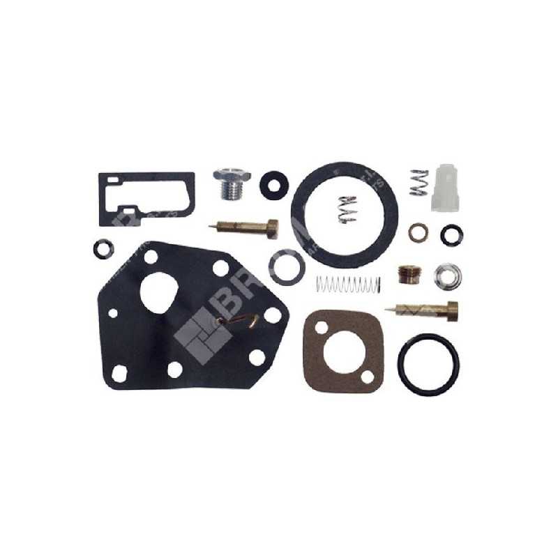 Kit Riparazione per carburatori BRIGGS & STRATTON 494622 COMPATIBILE - 006641