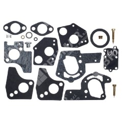 Kit Riparazione per carburatori BRIGGS & STRATTON 494624 - 495606 COMPATIBILE - 006640 | NewgardenParts.com