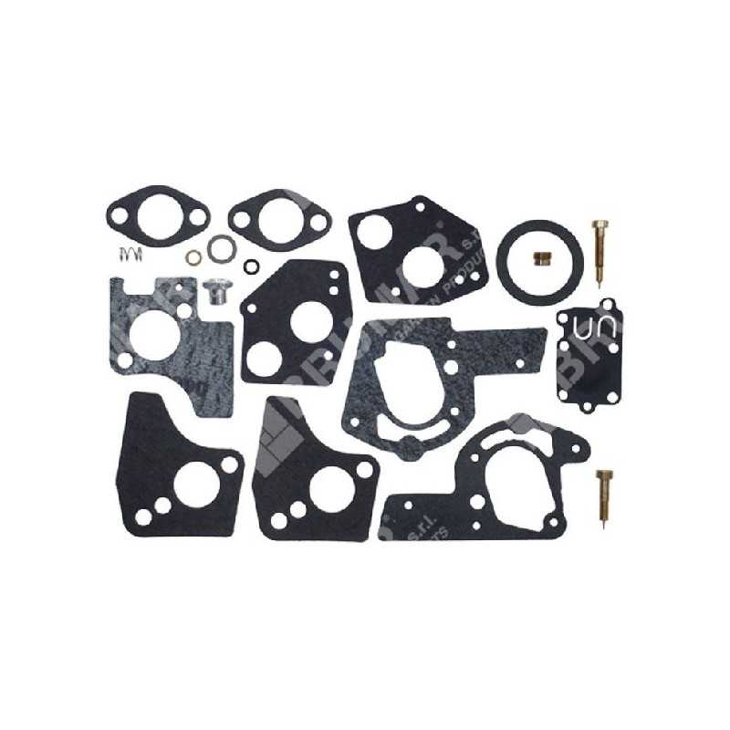 Kit Riparazione per carburatori BRIGGS & STRATTON 494624 - 495606 COMPATIBILE - 006640