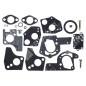 Kit Riparazione per carburatori BRIGGS & STRATTON 494624 - 495606 COMPATIBILE - 006640