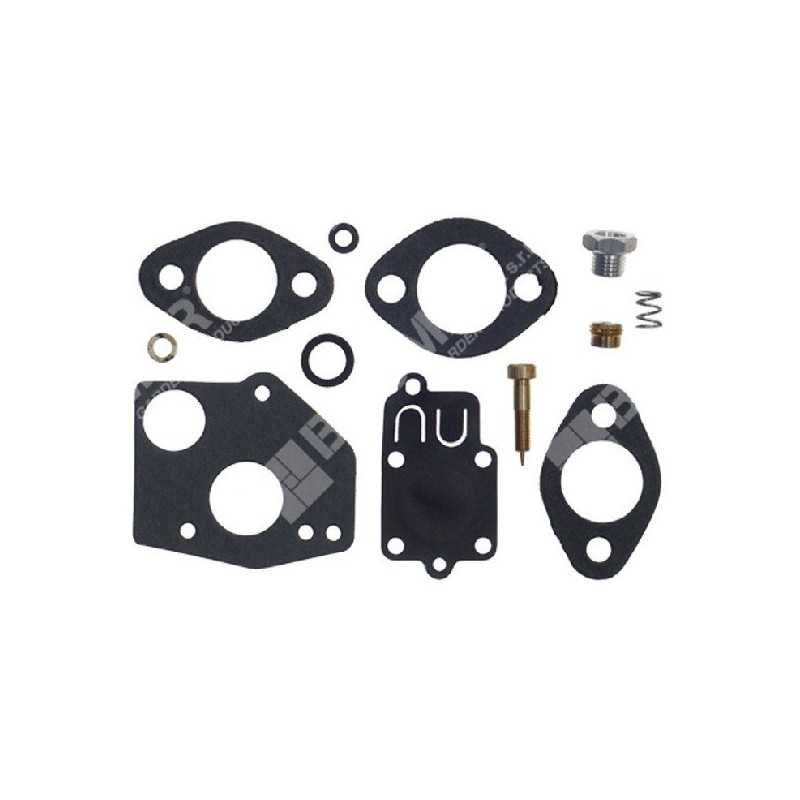 Repair Kit for BRIGGS & STRATTON carburetors 494624 - 006637 Repair Kit for BRIGGS & STRATTON carburetors 494624 - 006637