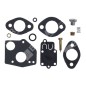 Kit Riparazione per carburatori BRIGGS & STRATTON 494624 COMPATIBILE - 006637