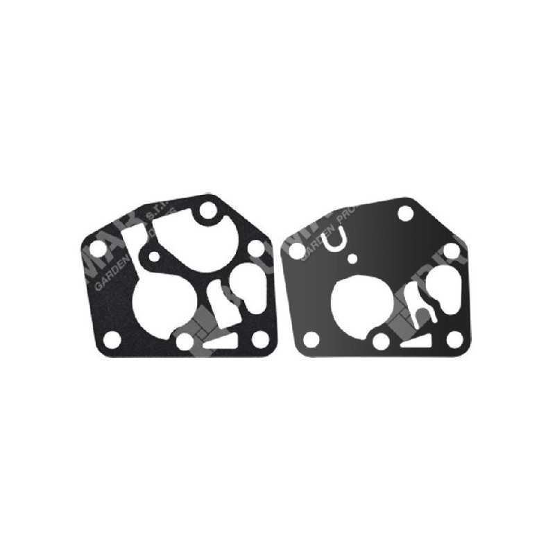 Serie Membrana para carburadores BRIGGS & STRATTON 495770 - 005389