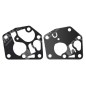 Serie Membrana para carburadores BRIGGS & STRATTON 495770 - 005389