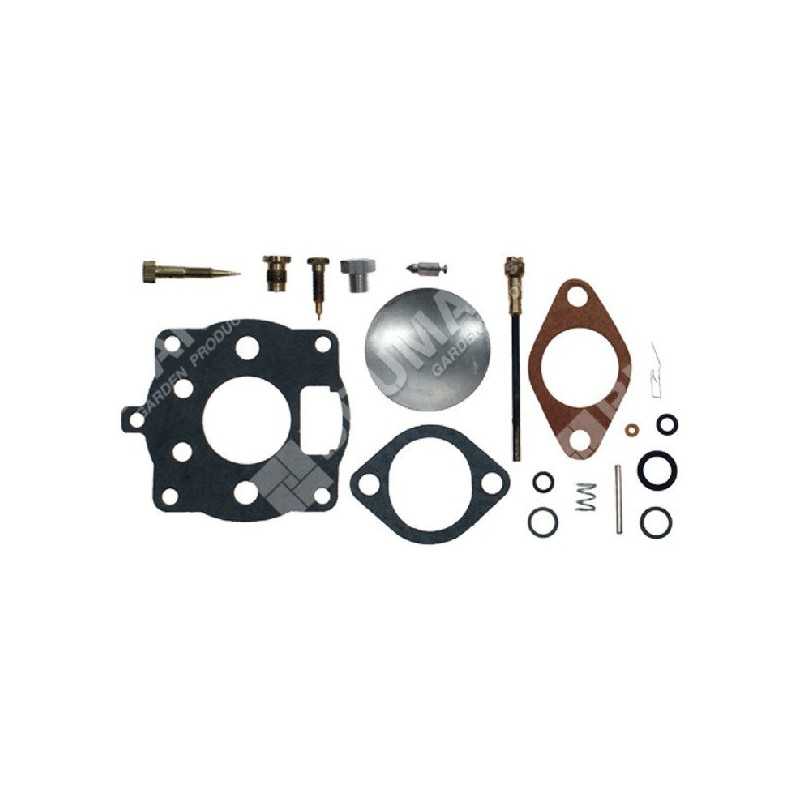 Kit Riparazione per carburatori BRIGGS & STRATTON 391071 COMPATIBILE - 000097 Kit Riparazione per carburatori BRIGGS & STRATTON 391071 COMPATIBILE - 000097