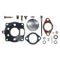 Kit Riparazione per carburatori BRIGGS & STRATTON 391071 COMPATIBILE - 000097 Kit Riparazione per carburatori BRIGGS & STRATTON 391071 COMPATIBILE - 000097