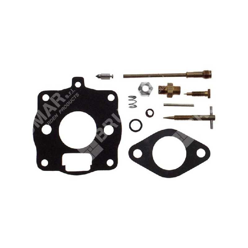 Repair Kit for BRIGGS & STRATTON carburettors 394989 - 000096