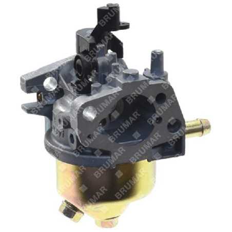 Carburetor IKRA 77000410 - 058365 | NewgardenParts.com