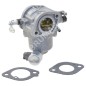 Carburatore b&s 597126 BRIGGS & STRATTON 597126 (ex 595216) COMPATIBILE - 056963