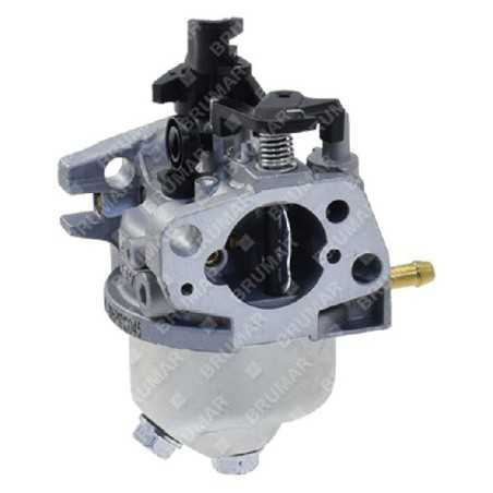 Kompletter Vergaser y145v DAYE - DAYEE - 056664 | NewgardenParts.com