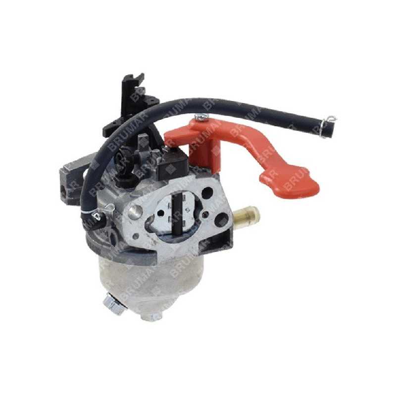 Komplett gefegter Vergaser. mp976ae MAORI - 054780