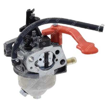 Carburateur à balayage complet. mp976ae MAORI - 054780 | NewgardenParts.com