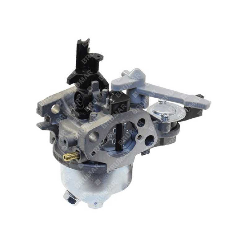 Komplett gefegter Vergaser. mp753 MAORI - 054495