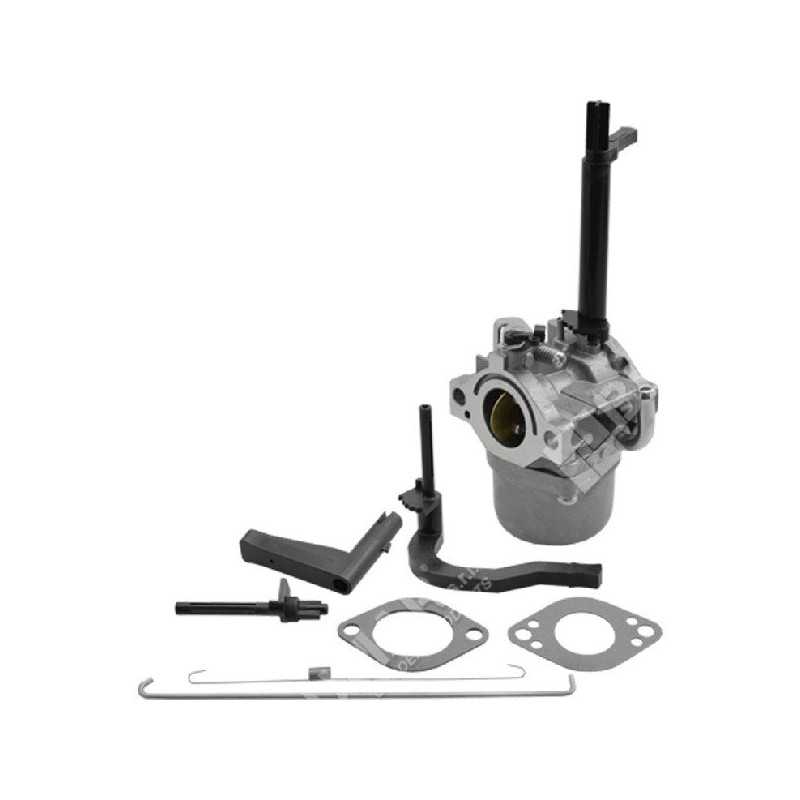 Carburateur à cuve pour moteurs BRIGGS & STRATTON 591378 - 050066 Carburateur à cuve pour moteurs BRIGGS & STRATTON 591378 - 050066