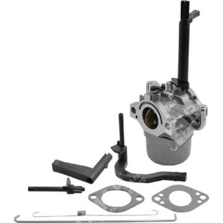 Schüsselvergaser für BRIGGS & STRATTON-Motoren 591378 - 050066 | NewgardenParts.com