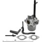 Carburateur à cuve pour moteurs BRIGGS & STRATTON 591378 - 050066 Carburateur à cuve pour moteurs BRIGGS & STRATTON 591378 - 050066