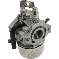 Schüsselvergaser für ROBIN-SUBARU-Motoren 2526245010 - 048578 | NewgardenParts.com