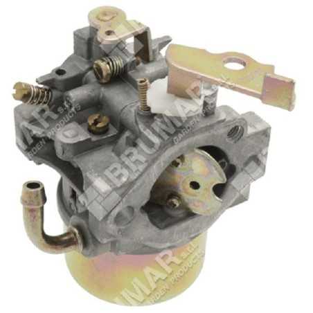 Schüsselvergaser für ROBIN-SUBARU-010441-Motoren | NewgardenParts.com