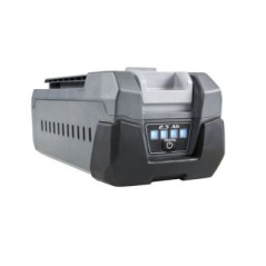 Batteria OLEOMAC 56V Bi525 2,5 Ah 54300001 | NewgardenParts.com