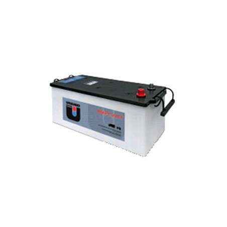 BATTERIA URANIO B 200AH 1150 ah POLO POS. SX lato corto | NewgardenParts.com