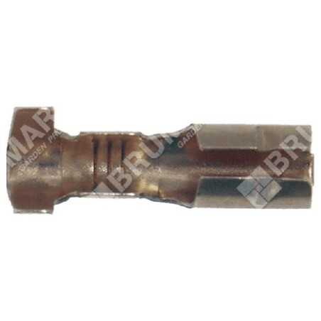 Borne femelle COMPATIBLE type FIAT - 009235 | NewgardenParts.com