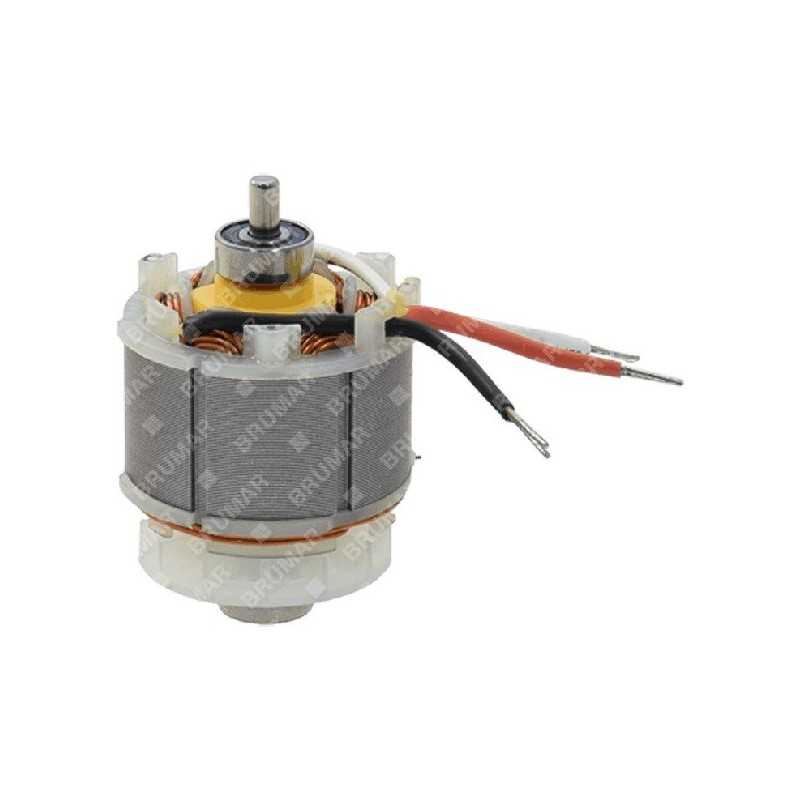 Electric motor for battery-powered pruner ATTILA COMPATIBLE - 058451