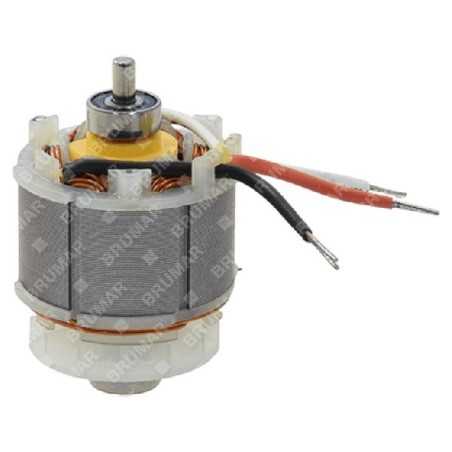Motor eléctrico para podadora de batería ATTILA COMPATIBLE - 058451 | NewgardenParts.com