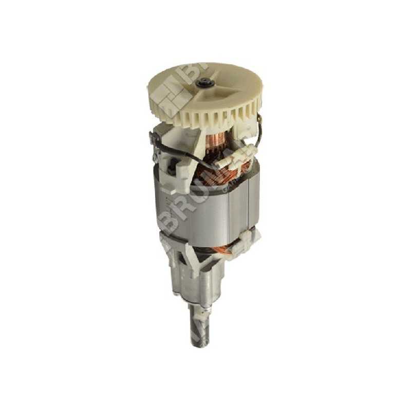 COMPATIBLE NOVATEC electric motor - 048755