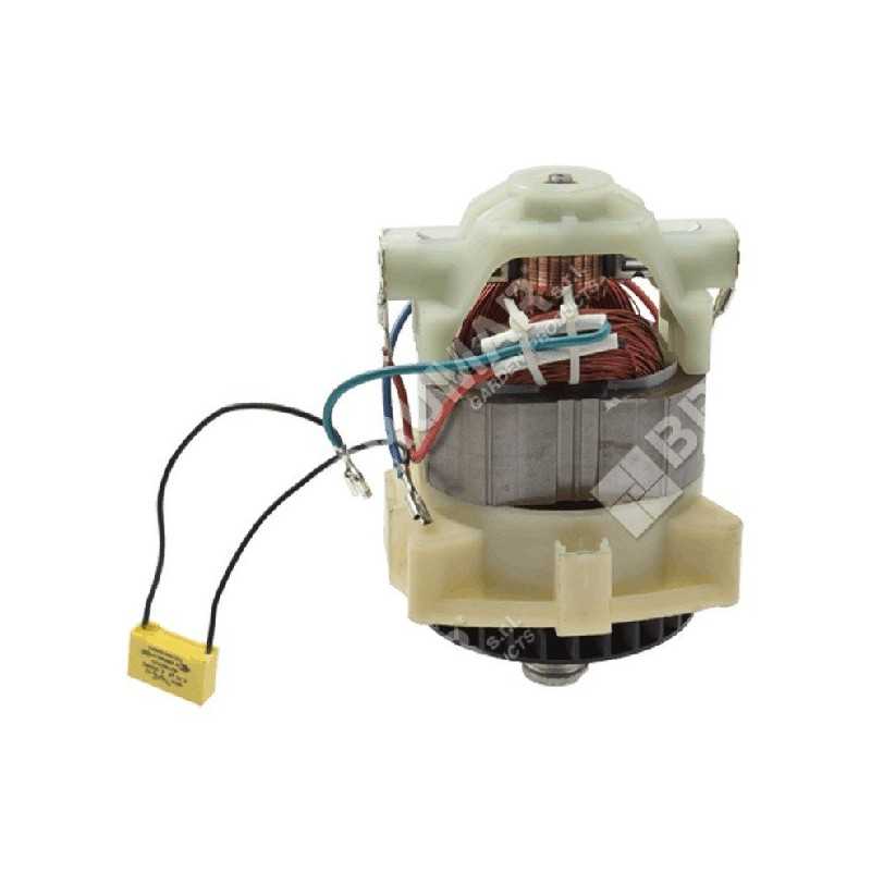 Moteur électrique pour tondeuse à gazon COMPATIBLE MAORI - 048632
