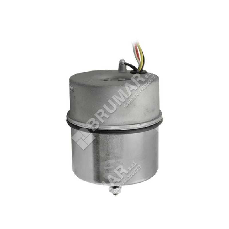 Motore elettrico ELPUMPS COMPATIBILE - 047449