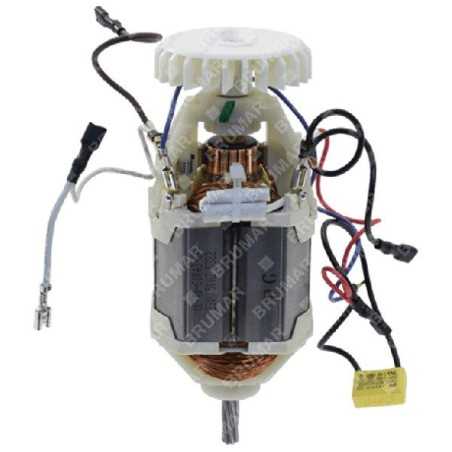 Motor eléctrico COMPATIBLE - 041548 | NewgardenParts.com