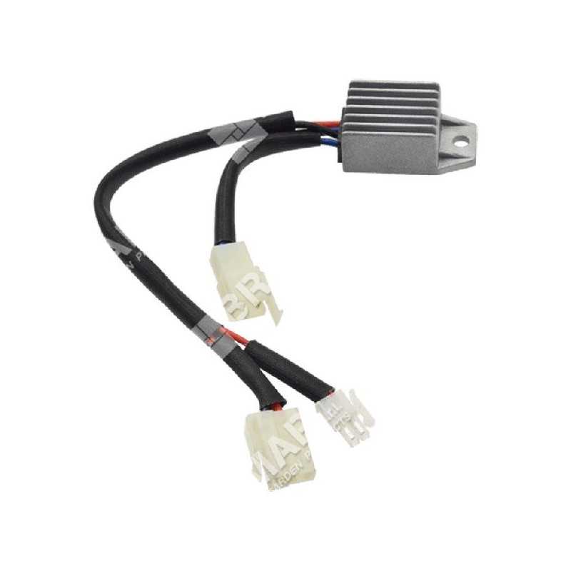 Régulateur de tension pour motogénérateurs COMPATIBLES DUCAR - 047581