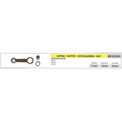 Biella ALPINA motore decespugliatore VIP 42 52 55 015431 | NewgardenParts.com