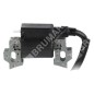 Bobine d'allumage pour moteurs KOHLER 1458404S COMPATIBLE - 049987