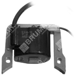 Bobina accensione per decespugliatori BLUE BIRD 450910 COMPATIBILE - 003879