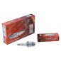 CHAMPION D21 COMPATIBLE spark plug - 002191