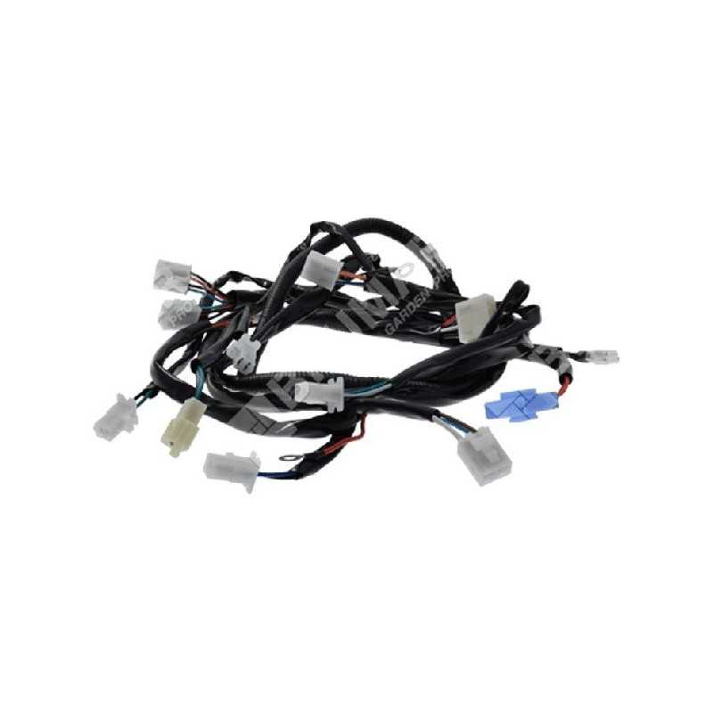 Conjunto de tractor eléctrico COMPATIBLE MAORI MP1698LM - 026644