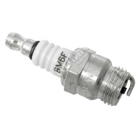 Candela NGK BM6F COMPATIBILE - 001199 | NewgardenParts.com