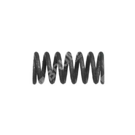 Clutch spring for ALPINA - CASTOR - CASTELGARDEN - GGP COMPATIBLE chainsaws - 000743 | NewgardenParts.com